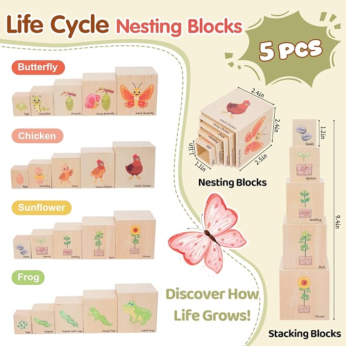 Wooden Life Cycle Nesting Blocks, Montessori Preschool Learning Toy | For Animal Life Cycles, Stacking & Sorting Blocks, Nesting Cube Boxes,Educational Science Toy for Kids 3+ (5 Pcs)