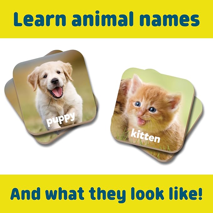 Chuckle & Roar Baby Animals Memory Matching Game, CR Matching, 3+, 52 Cards | Durable Through Repeated Play, Baby-Animal Matching Builds Animal Names, Solo or 4 Players, Travel Toys for Toddlers 3-5
