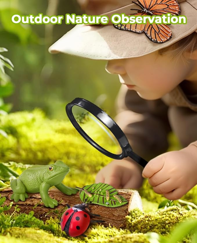 JoyCat Life Cycle Learning Education Toys, Insect Caterpillar to Butterfly kit, Ladybug, Bee, Tadpole to Frog Kit Life Cycle Toys for Kids, Preschool Learning Activities for Age 3 4 5 6 7 8 | Explore butterfly, frog, ladybug and bee stages with 21 card...