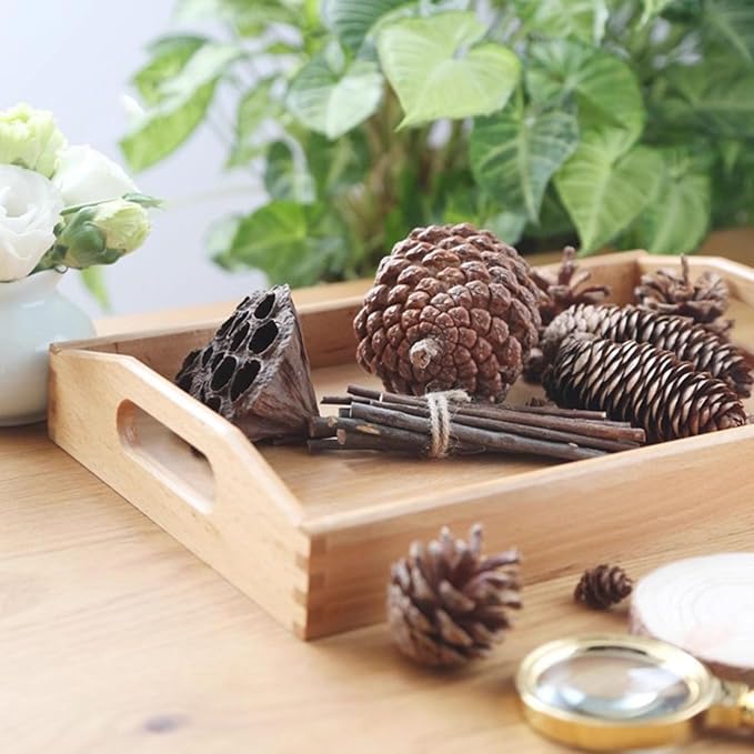 Montessori Nature Exploration Kit, Kids Outdoor Sensory Science Toy