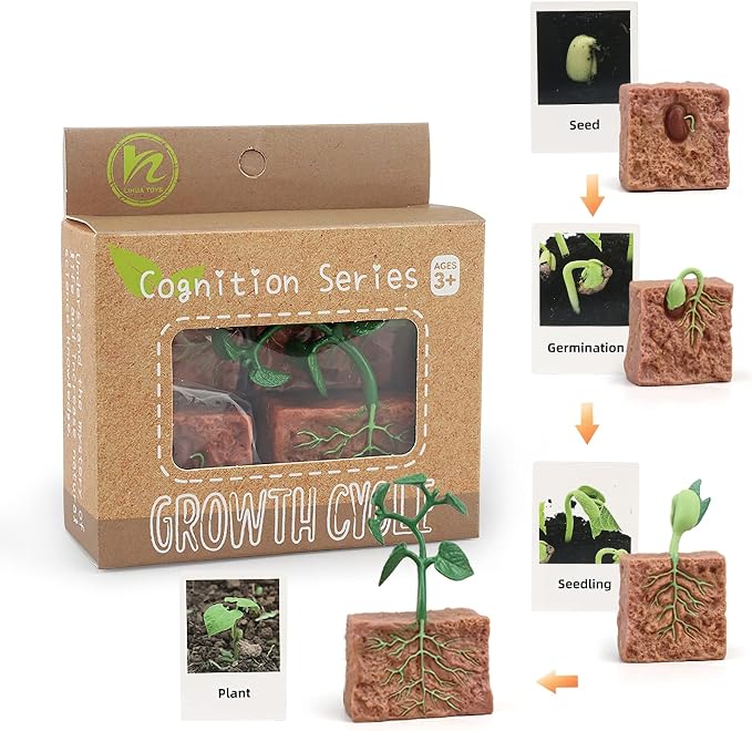 Montessori Life Cycle Animal Figures with Flash Cards, Realistic Animal Figurines Toy, Educational Matching Game for 3+ Year Old Kids (Plant)