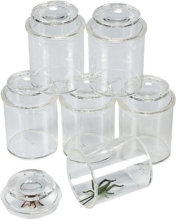 Fun Express See-Through Bug Box Jars, Clear, 10 Pieces | Educational Science & Nature Exploration, Ideal for Kids Learning Activities, Insect Observation & Outdoor Adventures