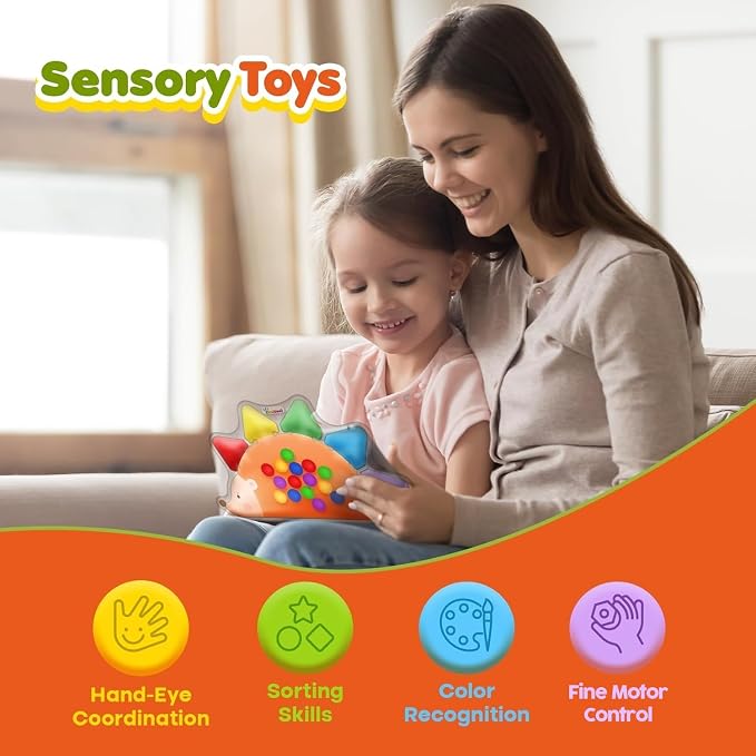 Color Sorting Sensory Toys for Kids Roadtrip Travel Essenstial for Toddler | Squeeze Toys Color Matching Game Preschool Activities Calm Down Montessori Toy for Classroom Prize Boy Girl Gifts Ages 3+