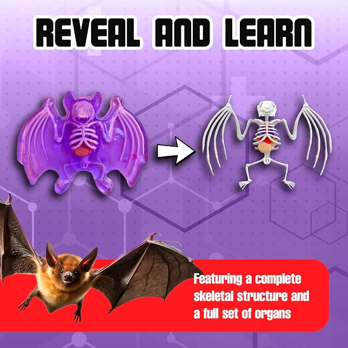 Dissect-It, Bat Dissection Kit, STEM Toys for Kids, Ages 6+ | Examine Realistic Bat Organs & Complete Skeleton, Then Rebuild with 2 Gel Refill Packs for Reusable STEM Learning