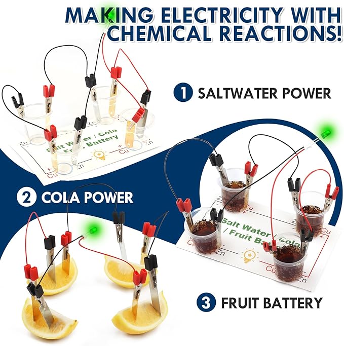 STEM Electric Circuit Kit, Electricity Science Project Light Bulb Experiments for Kids Teens, Electrical Engineering Kits Age 8-12 12-14, Fruit Energy Projects Circuits Experiment