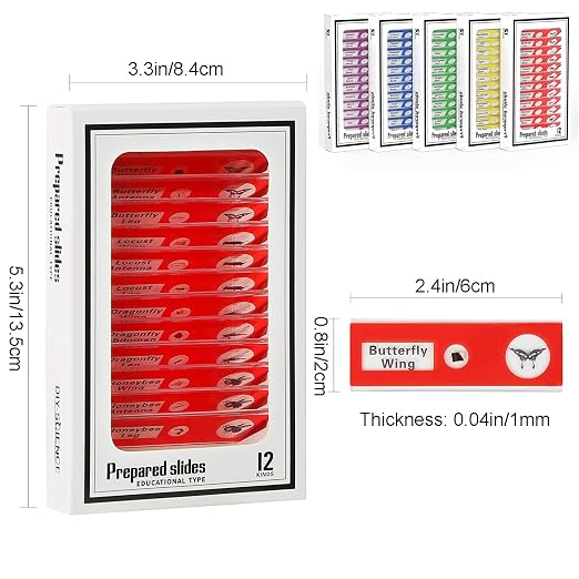 60pcs Microscope Slides with Specimens for Kids – Kids Prepared Stereo Microscope Slides for Stereo Microscope and Other, Animals Insects Plants Flowers Specimens | Prepared Stereo Microscope Slides, Animals, Insects, Plants & Flowers Specimens