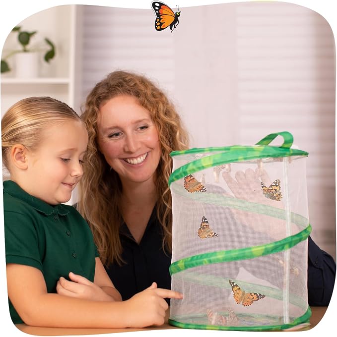 Insect Lore Raise and Release Butterfly Garden Kit – Caterpillar Habitat with redeemable Voucher – STEM-accredited Butterfly Growing Kit for Kids, Classrooms, and Homeschool Learning (Pack of 12)