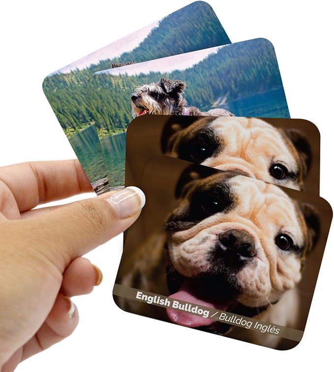 Menique – Dogs Memory Matching Game – Bilingual – 80 Cards (40 Pairs) with Real Photographs – Educational Game for Kids and Adults