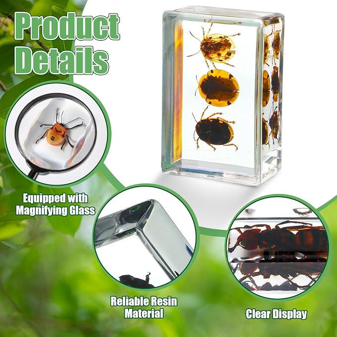 Lineshading 70 Pcs Insect in Resin Specimen with 7 Magnifying Glass Various Bugs Collection Paperweights Bug Kit Preserved in Resin for Kids Scientific Educational Classroom Display Collection