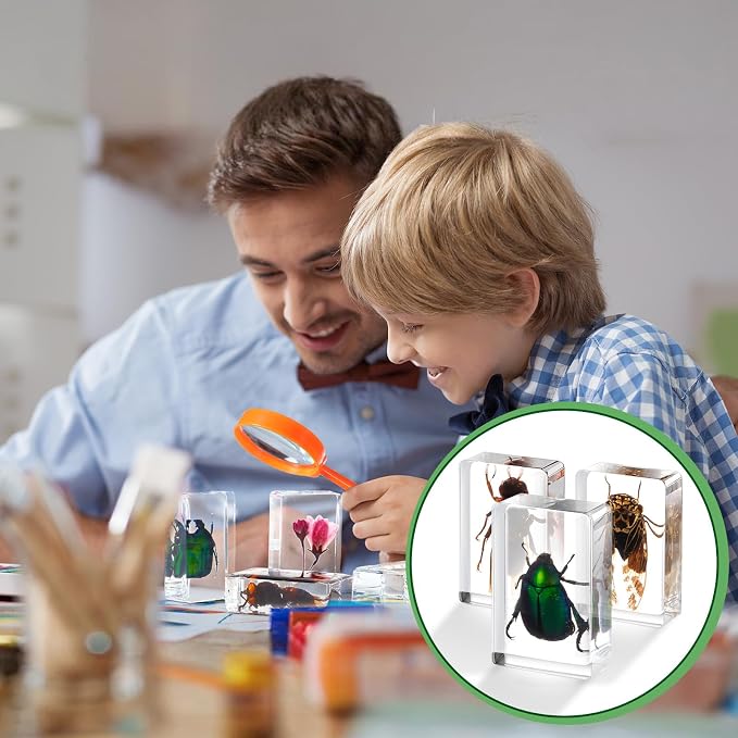 Lineshading 70 Pcs Insect in Resin Specimen with 7 Magnifying Glass Various Bugs Collection Paperweights Bug Kit Preserved in Resin for Kids Scientific Educational Classroom Display Collection