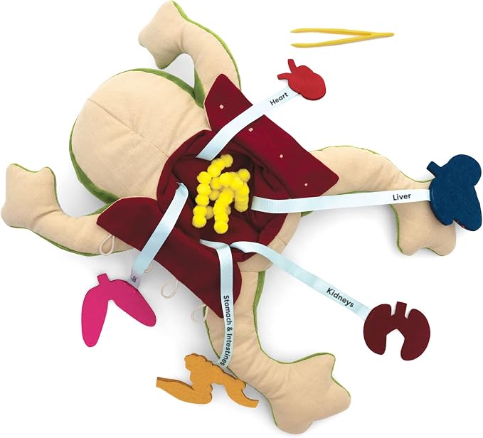 KiwiCo Froggie Lab Dissection Plush Toy | 5-Piece Organ Anatomy Learning Activity | Interactive Biology STEM Stuffed Animal for Kids Ages 3+ - Art & Science Gift