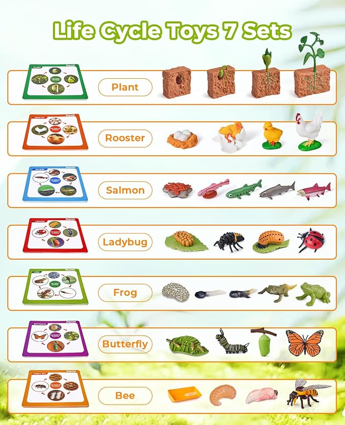 JoyCat Life Cycle Toys for Kids, 7 Animal and Plant Sets with Cards | Explore seven animal and plant life cycles with 37 cards, realistic figures, a double-sided board and storage box