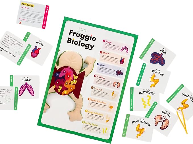 KiwiCo Froggie Lab Dissection Plush Toy | 5-Piece Organ Anatomy Learning Activity | Interactive Biology STEM Stuffed Animal for Kids Ages 3+ - Art & Science Gift
