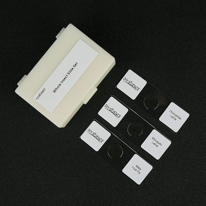 Prepared Whole Insects Microscope Slides Set, 10pcs Specimens for Kids Students Biology Class, Educational Gift (Whole Insects)