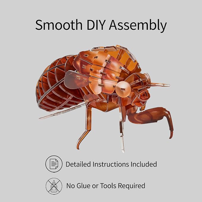 3D Acrylic Insect Puzzle DIY Bug Model Kit Animal STEM Gift | Building Kits Crafts Figurine Sculpture Nature Decoration Educational Display Toys for Kids Teens and Adults (Cicada Exuviae)
