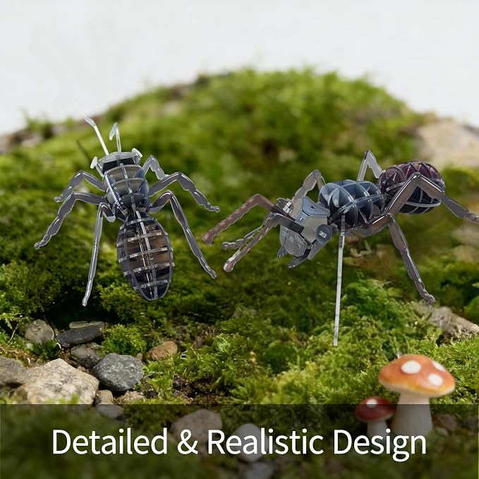 3D Acrylic Insect Puzzle DIY Bug Model Kit Animal STEM Gift | Building Kits Crafts Figurine Sculpture Nature Decoration Educational Display Toys for Kids Teens and Adults ( Ant)