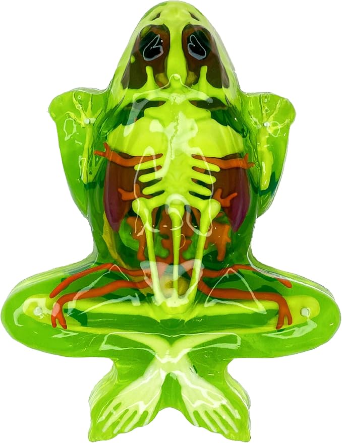 Dissect-It, Premium Frog Dissection Kit, STEM Toys for Kids, Ages 6+ | Examine Realistic Frog Organs & Complete Skeleton Using the Deluxe Frog, Dissection Tray, More Tools & 2 Gel Refill Packs