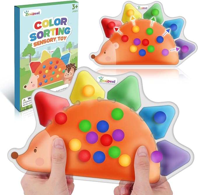 Color Sorting Sensory Toys for Kids Roadtrip Travel Essenstial for Toddler | Squeeze Toys Color Matching Game Preschool Activities Calm Down Montessori Toy for Classroom Prize Boy Girl Gifts Ages 3+