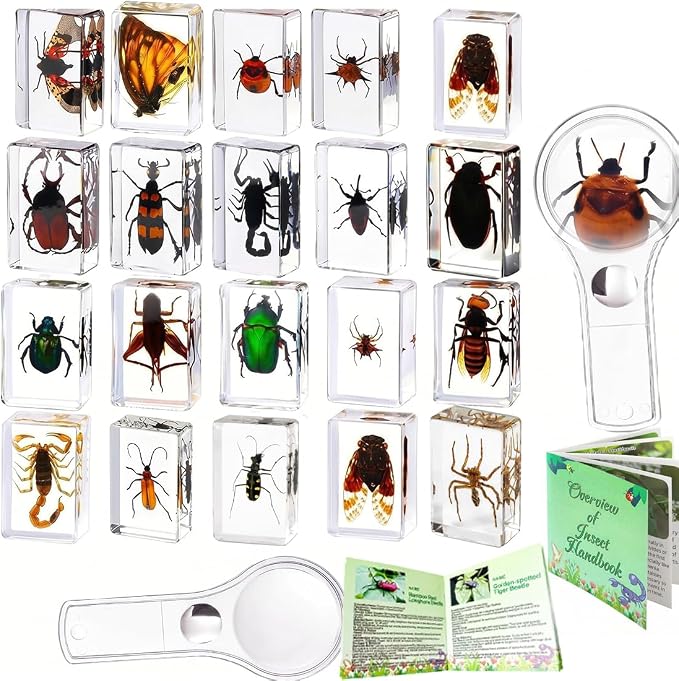 Insect in Resin Collection,Educational Bugs Specimen Set for Kids,Perfect for Preschool,Classroom Science and Home Displays (20 Insect Styles)