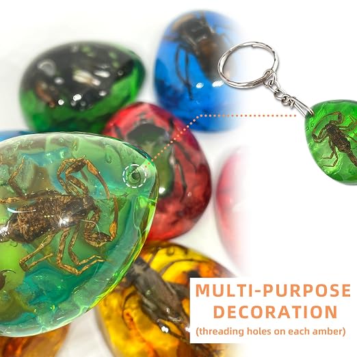 8 pcs Insect Amber Fossils, BOSOIRSOU Amber Fossil Pendants, Different Insect Specimen, Bug Preserved in Resin, Kids Educational Toy and Scientific Amber Collections-Fixed Patterns