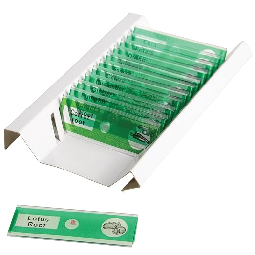 Prepared Microscope Slides for Kids – 12 Plastic Vegetable Specimens with Labels & Images – Safe, Durable Biology Science Kit for Students Ages 8+