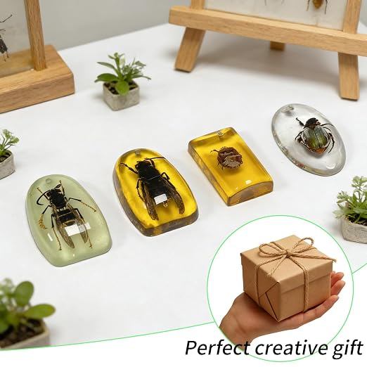 9 pcs Insect Amber Fossils, BOSOIRSOU Fossil Pendants, Different Insect Specimen, Bug Preserved in Resin, Educational and Scientific Amber Collections - Random Patterns