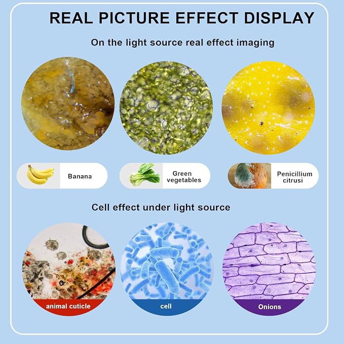 Microscope for Adults WF10x and WF25x eyepieces, 40X-2000X Magnification USB Camera, Microscope for Adults Suitable for Laboratory School (Large Model Binocular Electronic Eyepiece)