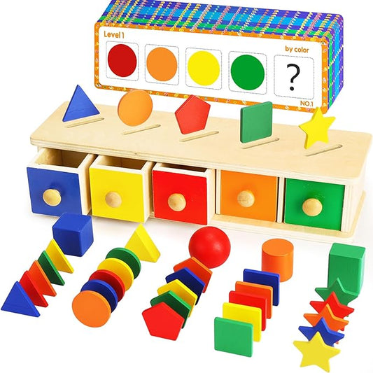 Peacurh Montessori Toys Wooden Color & Shape Sorter Toys for Toddlers, Matching Box Sorting Blocks Manipulatives Preschool Learning Educational Toy for 3 4 Year Old Boy Girl Kid Gifts