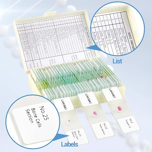 30 Microscope Slides with Specimens for Kids, Prepared Microscope Slides for Kids Microbiology, Glass Slides for Microscope, Biology Gifts for Adults Kids | Prepared Microscope Glass Slides Kit for Kids 8-12, Biology Slides Set Gifts for Students Child...