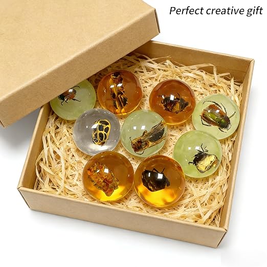 9 pcs Insect Amber Fossils, BOSOIRSOU Fossil Pendants, Different Insect Specimen, Bug Preserved in Resin, Educational and Scientific Amber Collections - Random Patterns
