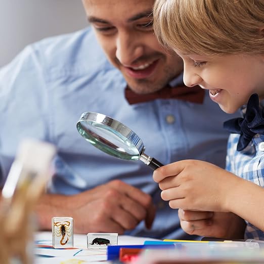 12 Pcs Insect Specimens for Kids Bug Collection Kit Real Specimens of Various Butterflies Beetles, Kids Biology Science Educational Toy, Back to School Gift for Classroom Teacher Student(Butterfly)