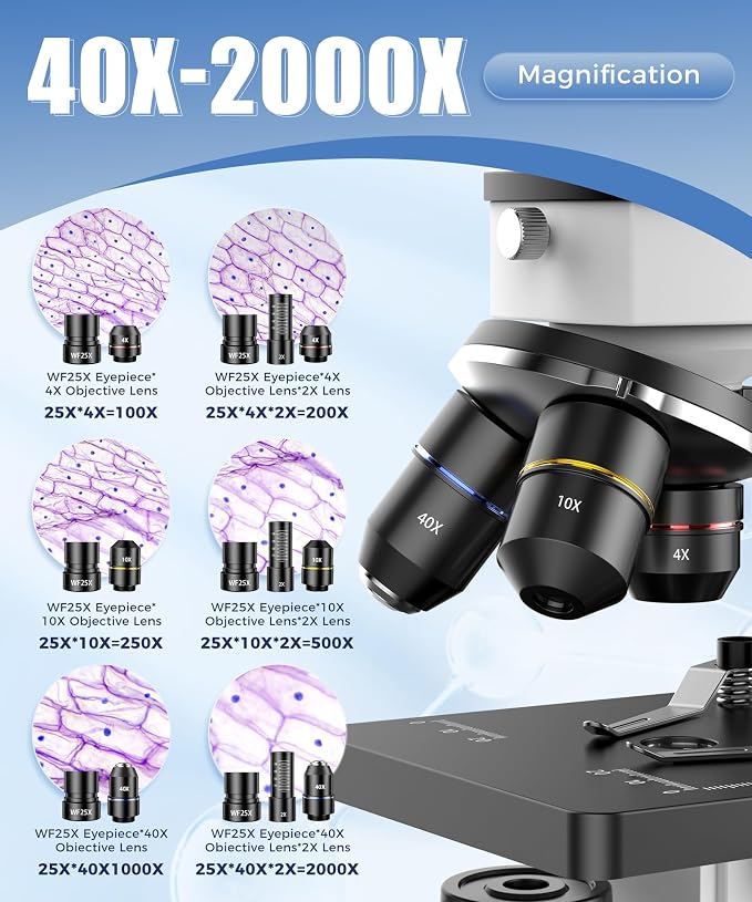 PalliPartners Compound Microscope for Adults & Students, White | 100X-2000X High-Power, Biological Microscope, School Lab & Home Education, with Slides Set & Phone Adapter