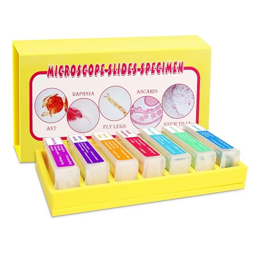 35PCS Prepared Microscope Slides with 7 Types Specimens, Insect/Plant Glass Sample Slide for Kids Adults Family Preschool Education Scientific Enlightenment