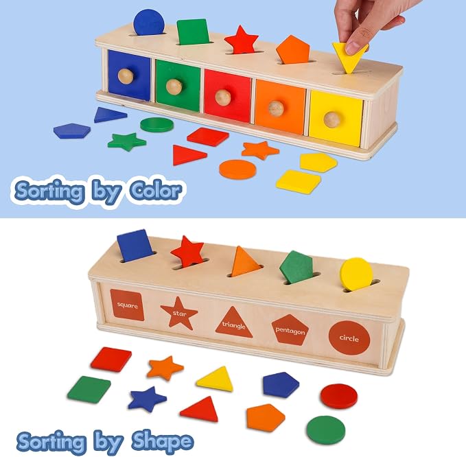 Peacurh Montessori Toys Wooden Color & Shape Sorter Toys for Toddlers, Matching Box Sorting Blocks Manipulatives Preschool Learning Educational Toy for 3 4 Year Old Boy Girl Kid Gifts