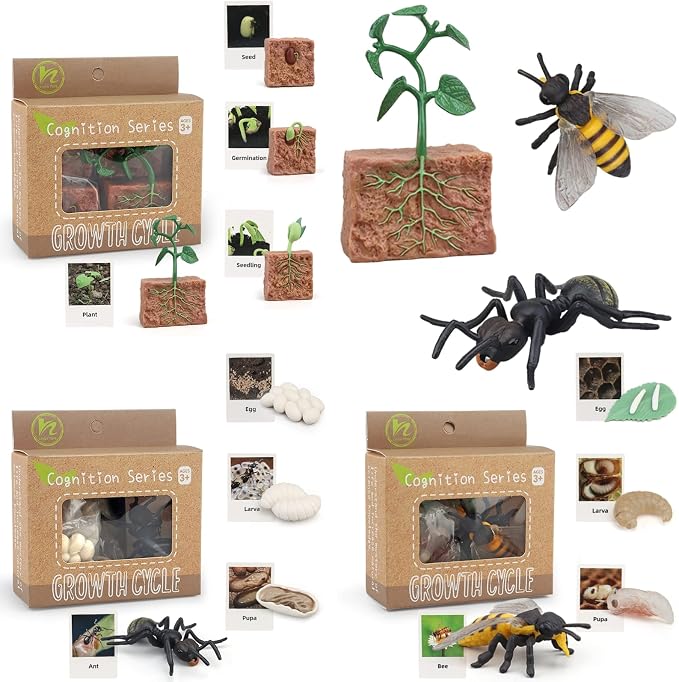 Montessori Life Cycle Animal Figurines Learning & Education Toys, Plastic Insect Life Cycle Toys for Kids, Preschool Learning Activities (Plant Bee Ant)