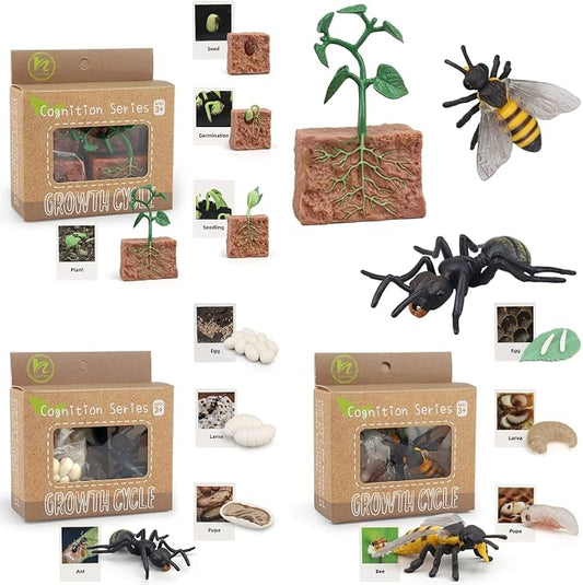 Montessori Life Cycle Animal Figurines Learning & Education Toys, Plastic Insect Life Cycle Toys for Kids, Preschool Learning Activities (Plant Bee Ant)