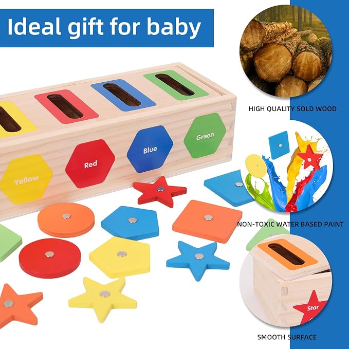 Montessori for Kids, Magnetic Color Shape Sorting Matching Box | Early Learning Toys, Wooden Educational Toy, Fine Motor Skills Toys for Boys Girls