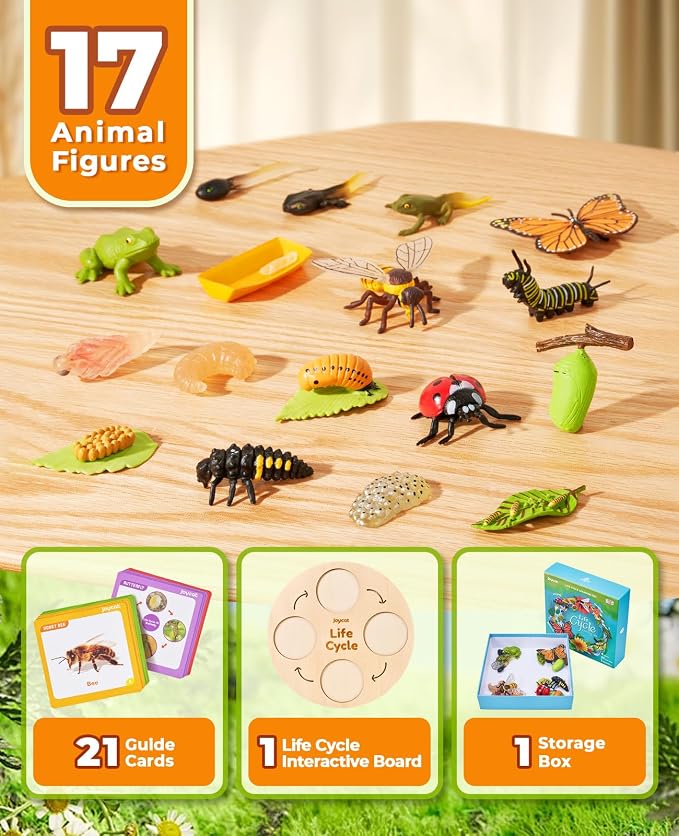 JoyCat Life Cycle Learning Education Toys, Insect Caterpillar to Butterfly kit, Ladybug, Bee, Tadpole to Frog Kit Life Cycle Toys for Kids, Preschool Learning Activities for Age 3 4 5 6 7 8 | Explore butterfly, frog, ladybug and bee stages with 21 card...