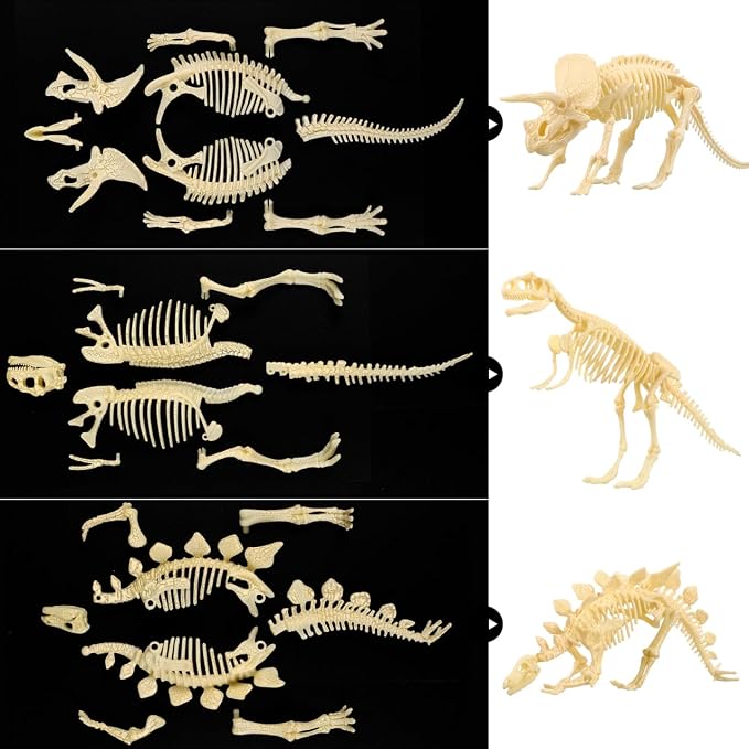 NUOLUX 3Pcs 4D Dinosaur Fossil Skeleton Toys DIY for Kids Fossil Skeleton Figure