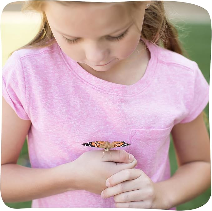 Insect Lore Raise and Release Butterfly Garden Kit – Caterpillar Habitat with redeemable Voucher – STEM-accredited Butterfly Growing Kit for Kids, Classrooms, and Homeschool Learning (Pack of 12)
