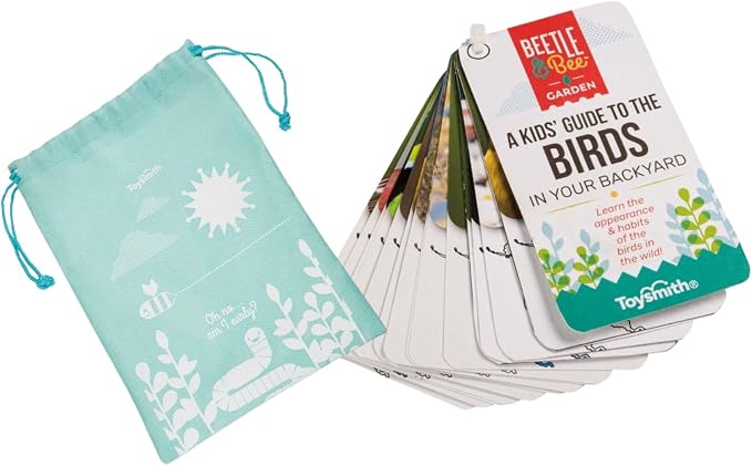Beetle & Bee Bird Watching Kit For Kids 4x30 Binoculars Nature Toy Ages 5+ | Outdoor Explorer Gear, Backyard Birding Activities, Starter Observation Play, Travel Discovery Trips, Young Naturalist Gifts.