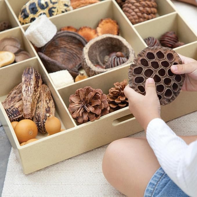 Kaplan Early Learning Company Loose Parts Stackable Tray - Poly+