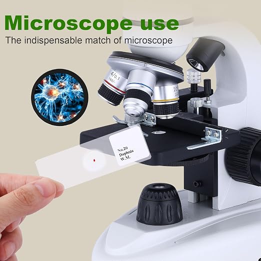 60 Pieces Prepared Microscope Slide Set with Specimens, Plant Animal Cell Science Education Microscope Slides for Bioscience Labs