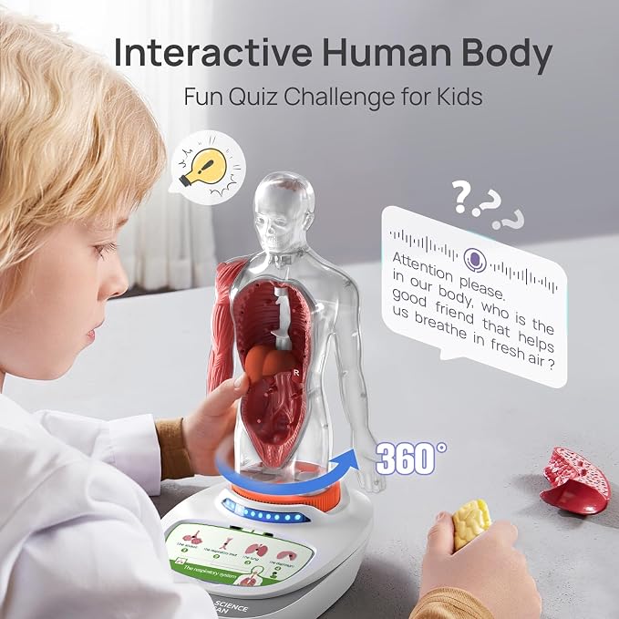 Science Can Human Body Model for Kids, Interactive Anatomy Learning Toys | 11" Human Anatomy Model, Knowledge/Quiz Mode, 15pcs Removable Parts, Learning Booklet, Educational Toy, Gifts for Kids Age 6+