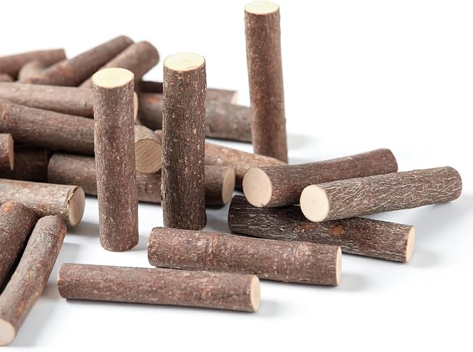 Wood Craft Sticks Crafting Twigs, Pumpkin Stems DIY Vase Fillers | Log Toy Rustic Decorations Ornaments,Loose Parts Play Materials