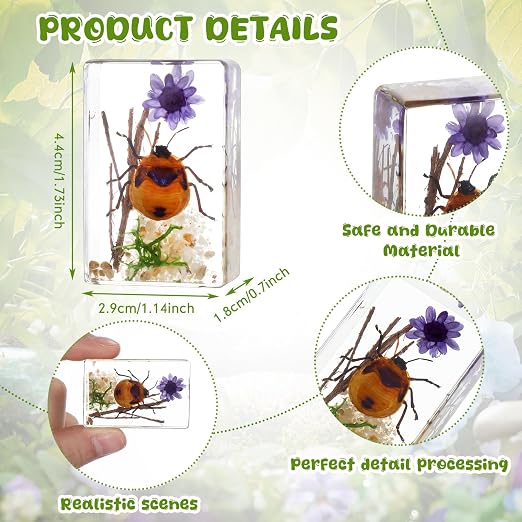 12 Pcs Insect Specimens for Kids Bug Collection Kit Real Specimens of Various Butterflies Beetles, Kids Biology Science Educational Toy, Back to School Gift for Classroom Teacher Student(Scenery)