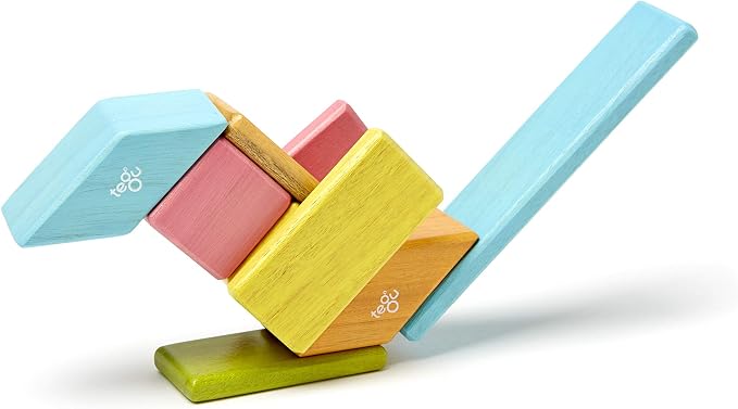 Tegu Wooden Tints Set, Assorted, 14 Pieces (TEG14PTNT306T)