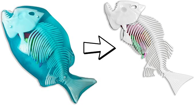 Dissect-It, Piranha Dissection Kit, STEM Toys for Kids, Ages 6+ | Piranha Anatomy, Examine Realistic Organs & Complete Skeleton, Then Rebuild with 2 Gel Refill Packs for STEM Learning