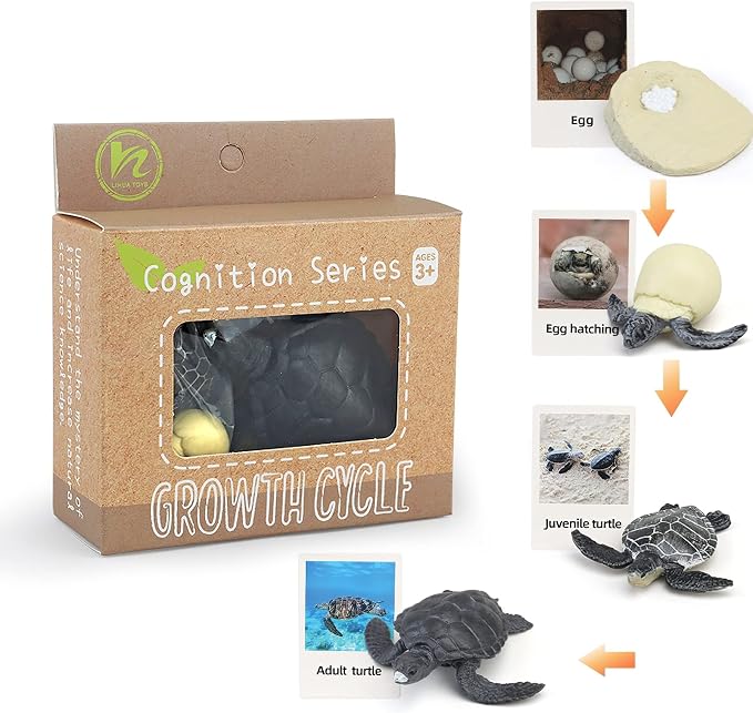 Montessori Life Cycle Animal Figures with Flash Cards, Realistic Animal Figurines Toy, Educational Matching Game for 3+ Year Old Kids (Turtle)