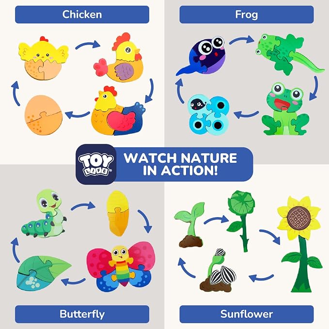 TOY Life Life Cycle Toys Puzzles for Kids, Wooden Puzzles for Toddlers 2-4, 4 Large Pieces Animal Puzzle for Toddlers 1-3, Montessori Toys for 1 2 3 Year Old Boy Girl, Baby Kids Educational Toy